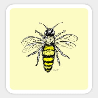 Honey Bee Sticker